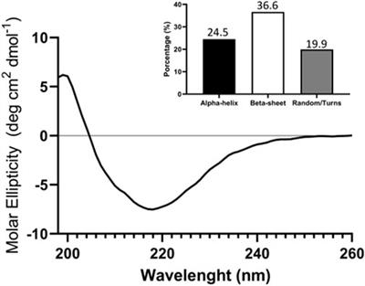 Recombinant human TIM-3 ectodomain expressed in bacteria and recovered from inclusion bodies as a stable and active molecule